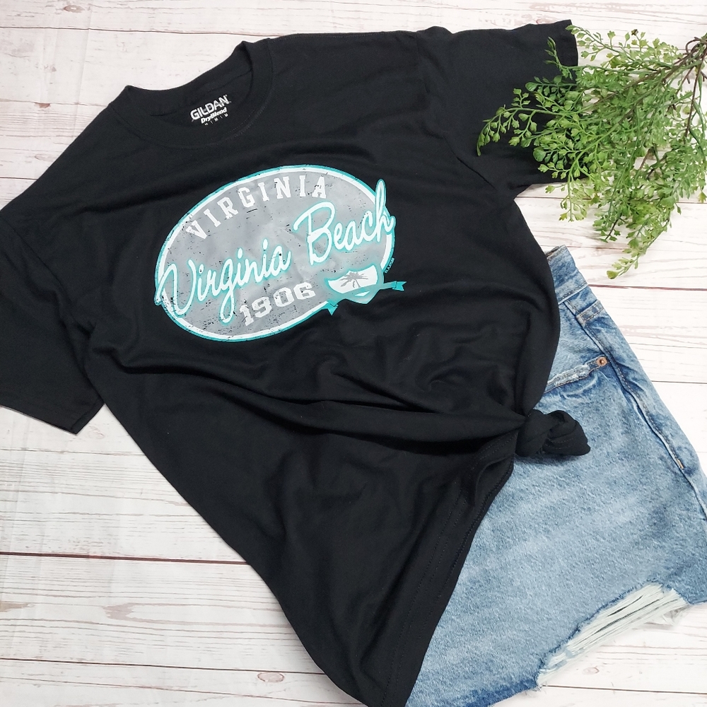 Gildan Dry Blend Virginia Beach Tee TShirt